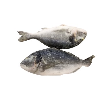 เนื้อปลาแซลมอน  ปลาเทราต์ เนื้อสดนำเข้า เนื้อแกะ อาหารสด