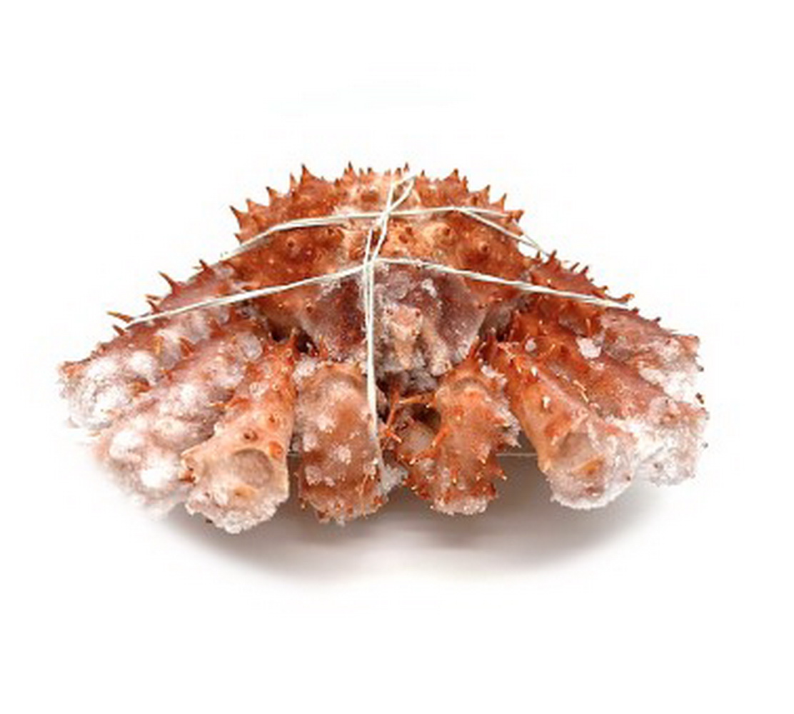 เนื้อปลาแซลมอน  ปลาเทราต์ เนื้อสดนำเข้า เนื้อแกะ อาหารสด