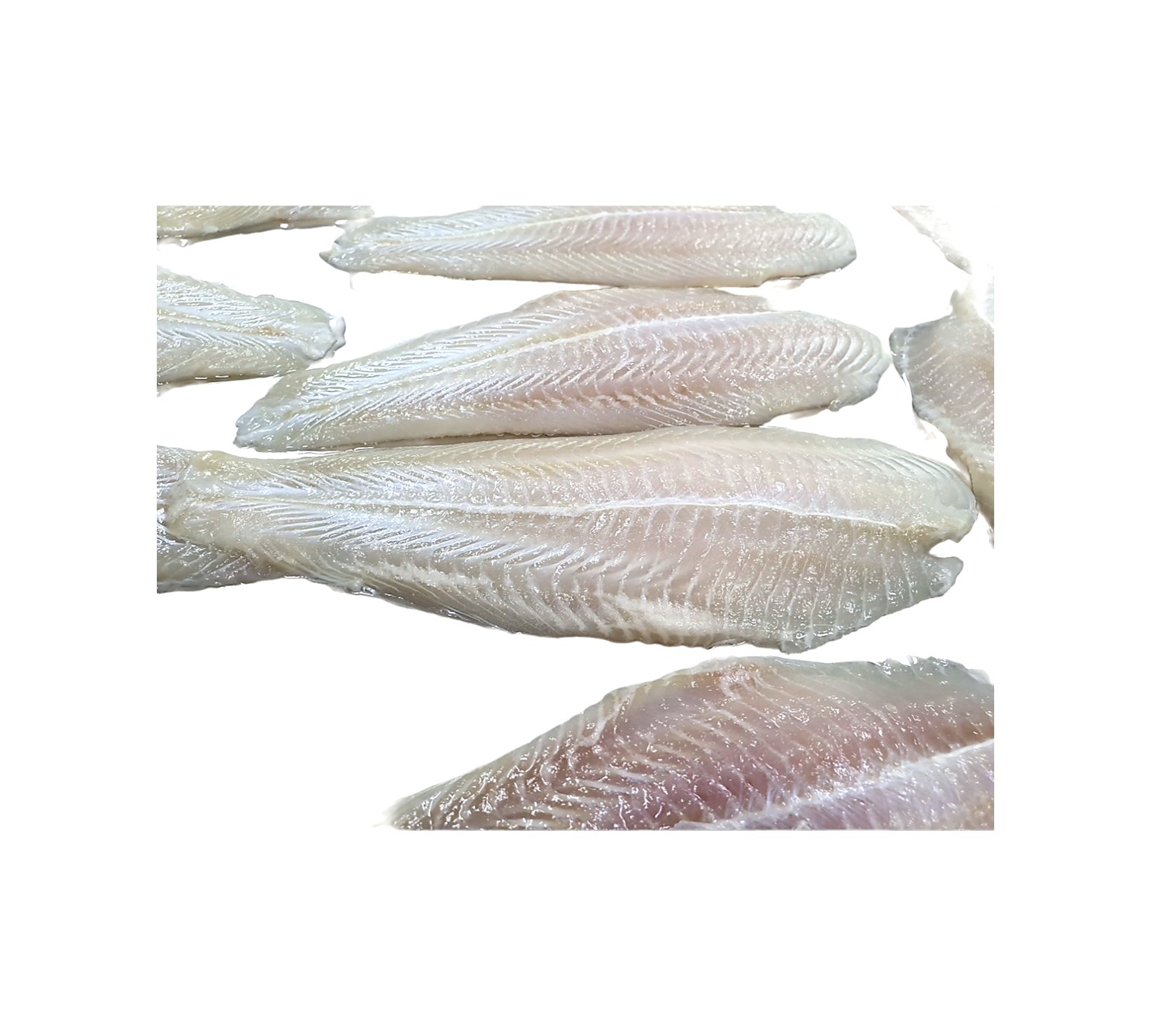 เนื้อปลาแซลมอน  ปลาเทราต์ เนื้อสดนำเข้า เนื้อแกะ อาหารสด